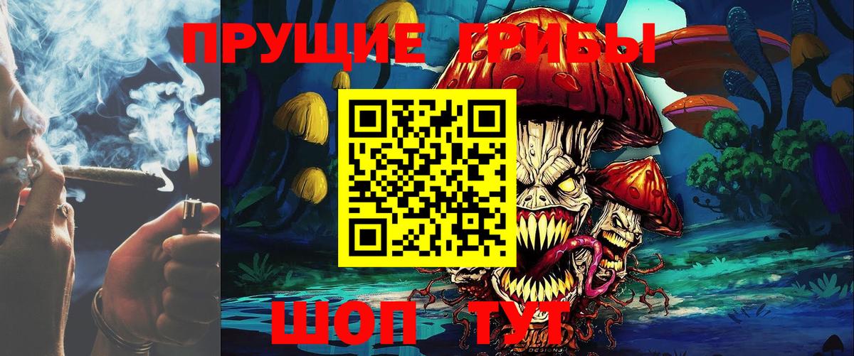Альметьевск  Псилоцибиновые грибы Magic Shrooms  Вход с VPN 