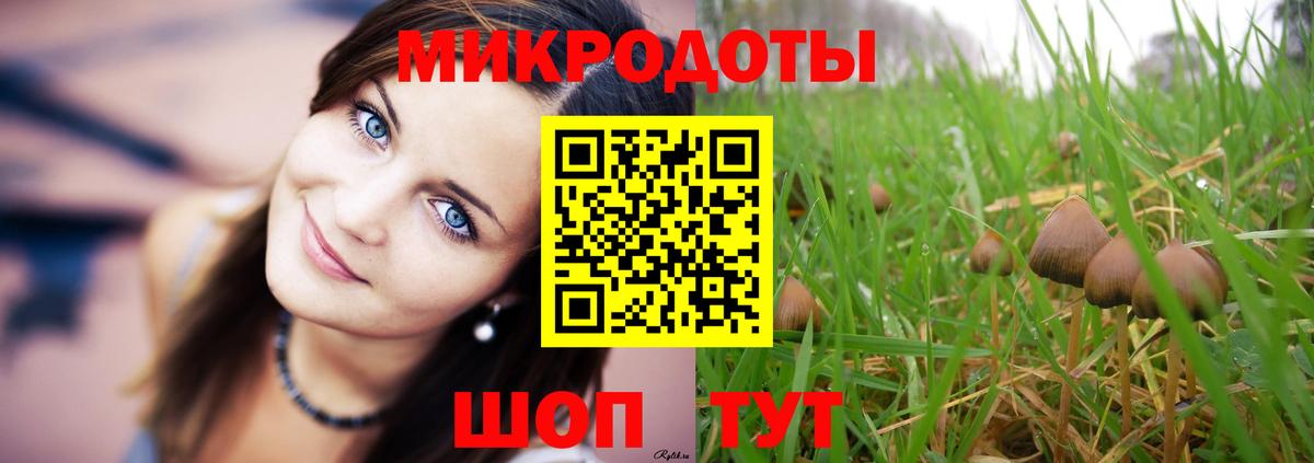 Псилоцибиновые грибы GOLDEN TEACHER Альметьевск